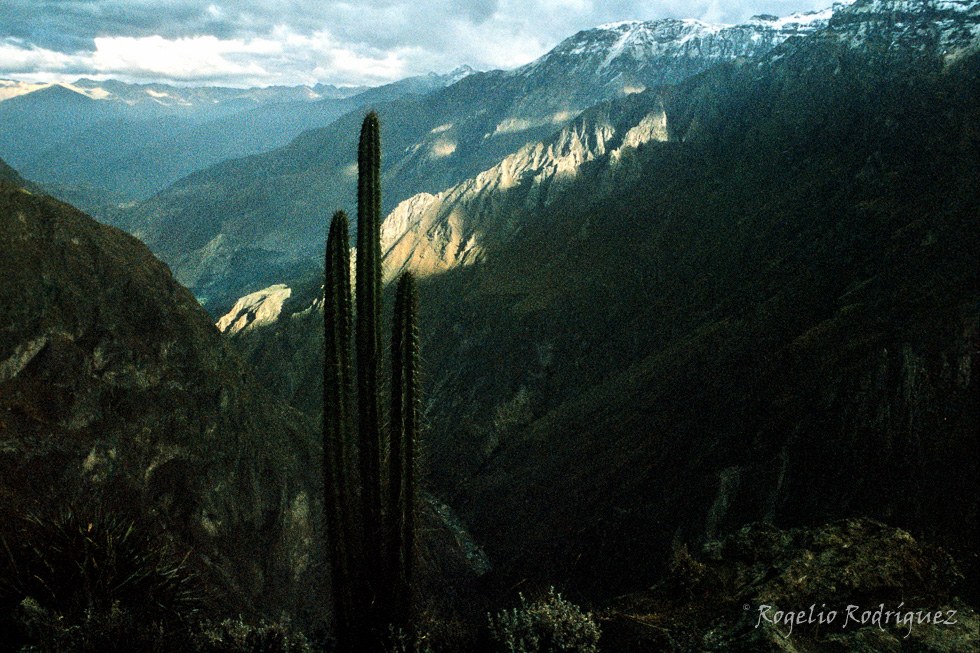 Imagen 20 de la galería de Perú